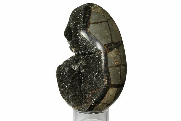 Bargain, Septarian Dragon Egg Geode - Black Crystals #172808